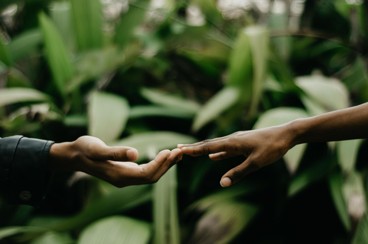 A close-up of two hands reaching towards each other against a backdrop of tropical leaves, symbolizing connection.